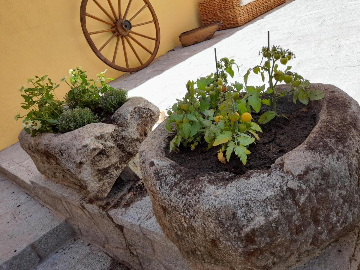 Casa Rural Del Tio Maino 베세릴데라시에라 외부 사진